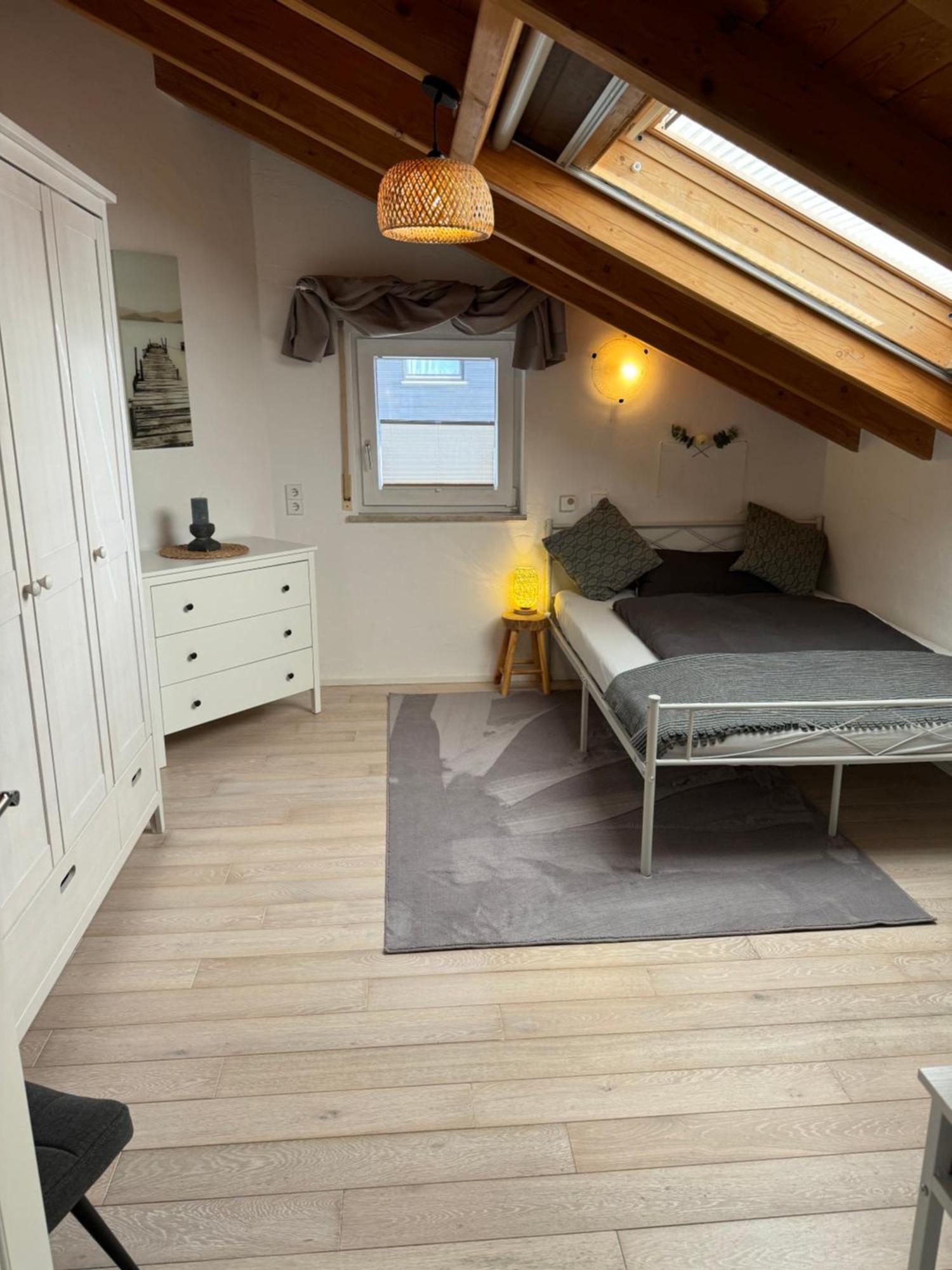 Spacy 3 Bedroom Plus Sleeping Couch Apartment Work&Travel Close To Heidelberg Dielheim Kültér fotó